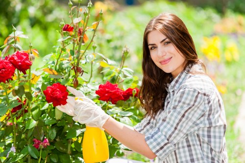 Expert gardener trimming hedges in Plumstead